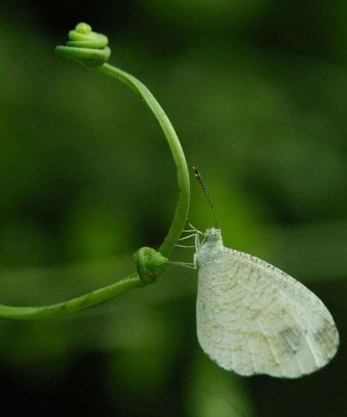 Nina Korolchuk instructor profile